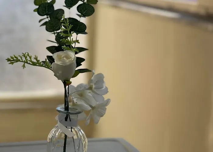 Skyline Shore For 6pax * Durrës